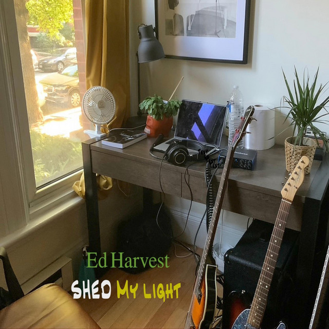 Shed My Light
